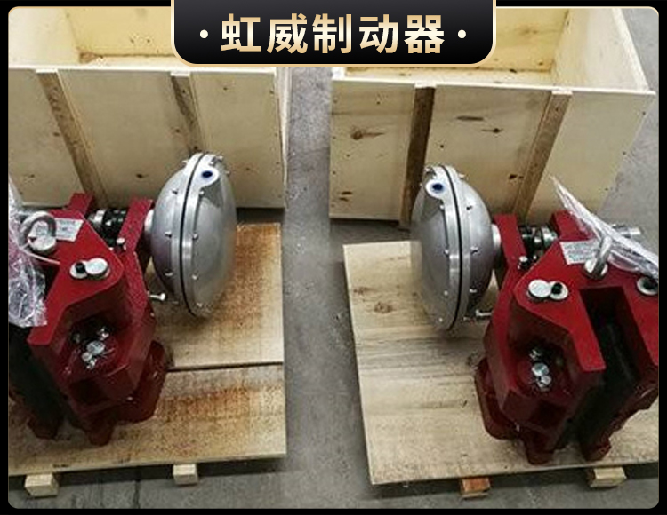 CQP20B-A氣動鉗(qian)盤式製動(dong)器